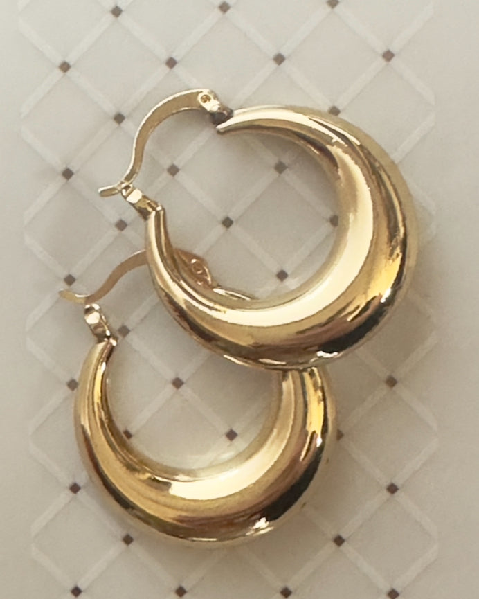 Classy Earrings