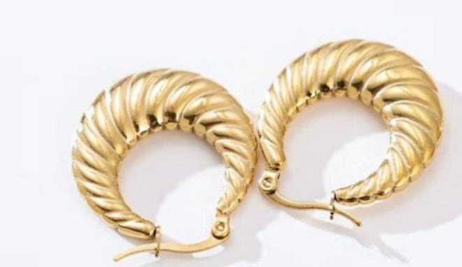 Dangled Earrings