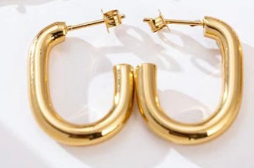 Dangled Earrings