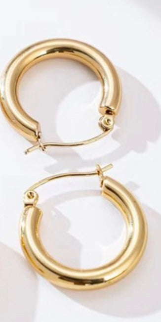 Dangled Earrings