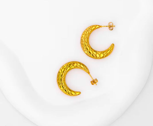 Moon Snake Scale Earrings