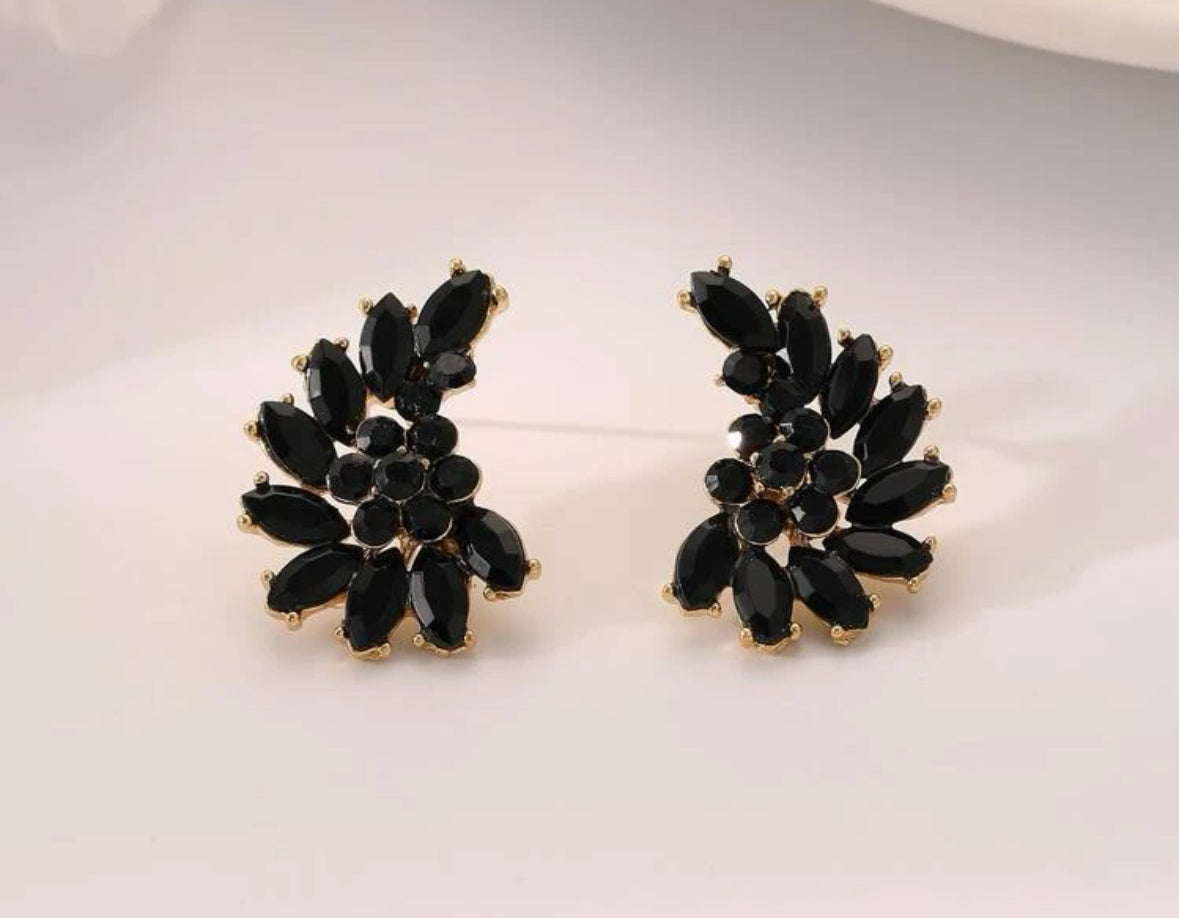 Black Earrings