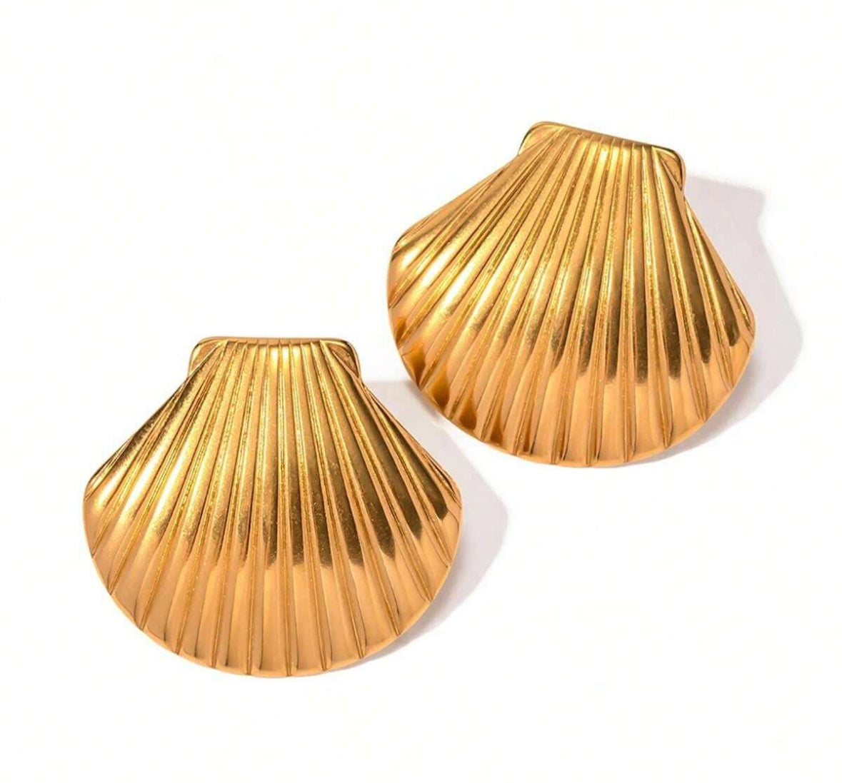 Large Shell Earrings