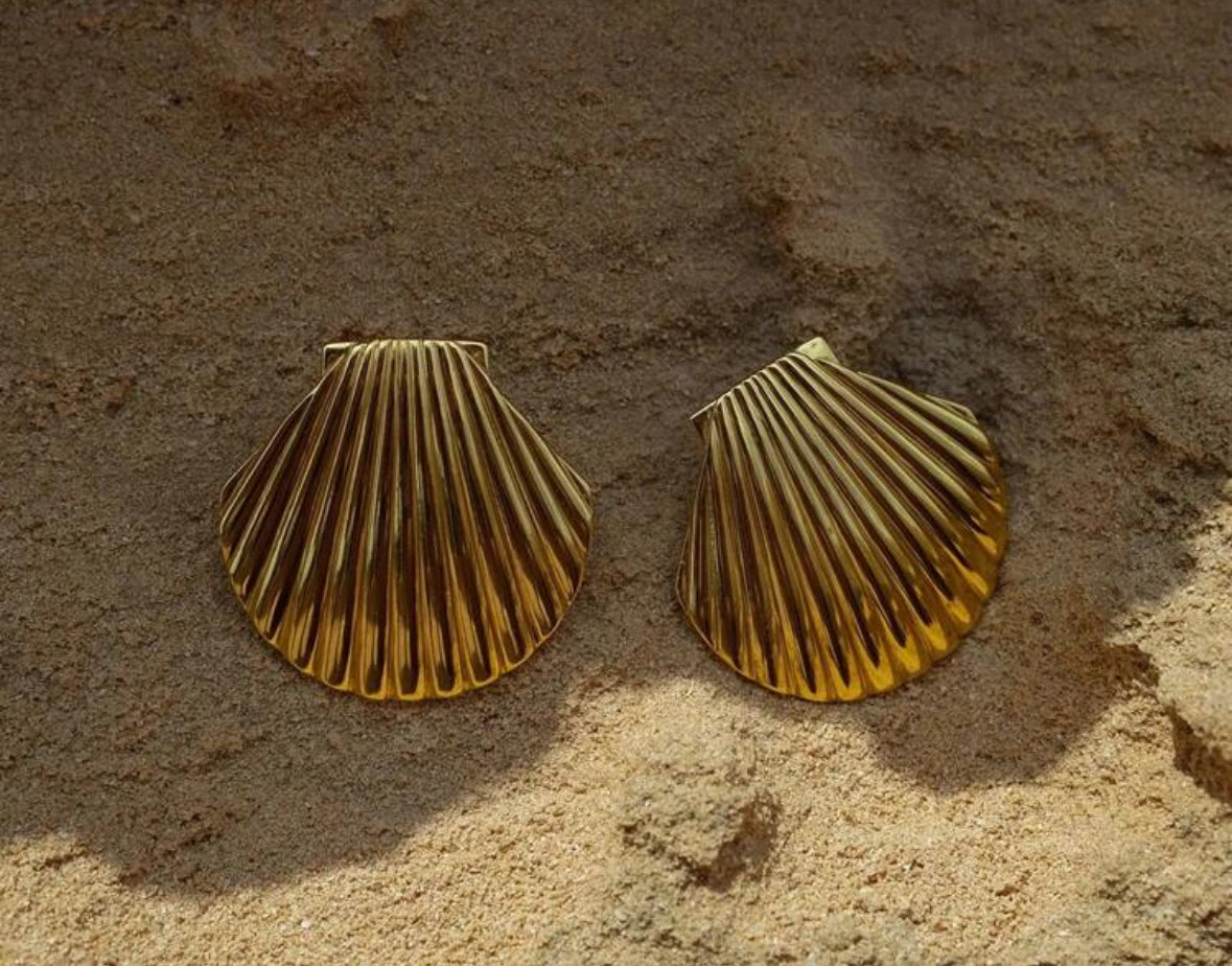 Large Shell Earrings